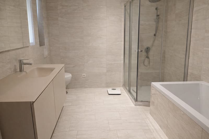 Bathroom with sink, mirror, toilet, bathtub, and walk-in shower with shower head