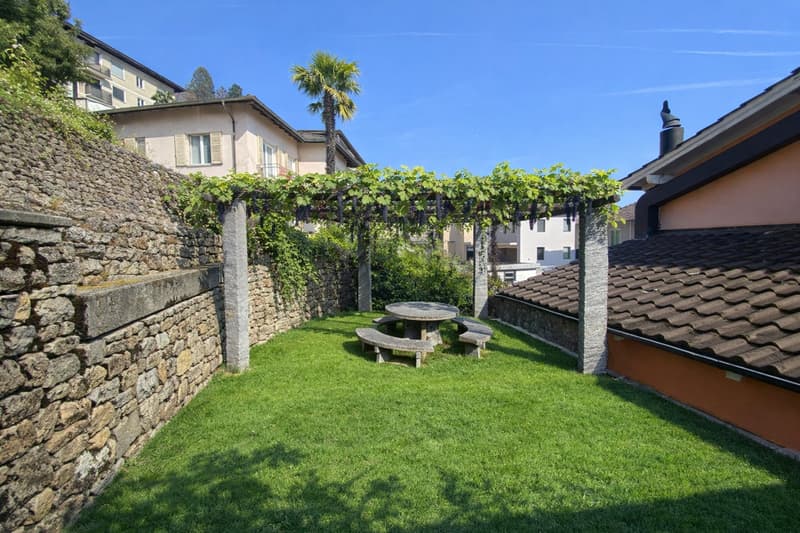 Stone wall, green lawn, picnic table, wooden bench, grapevines