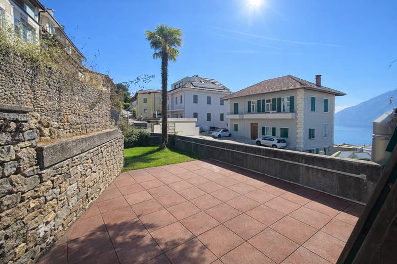 Stone wall, tiled patio, cars parked in front of houses, palm tree, ocean view.
