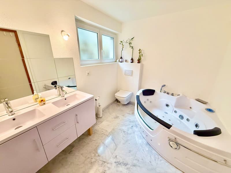 double sink, mirror, toilet, jacuzzi tub, window