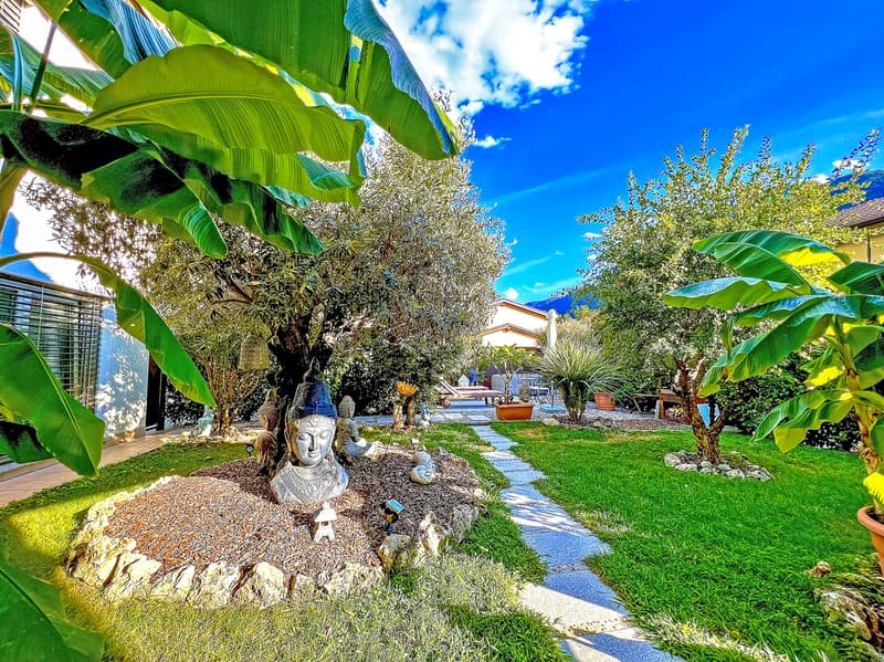 Lush tropical garden with banana leaves, flowering trees, a Buddha statue, and a paved walkway leading to a building in the background.