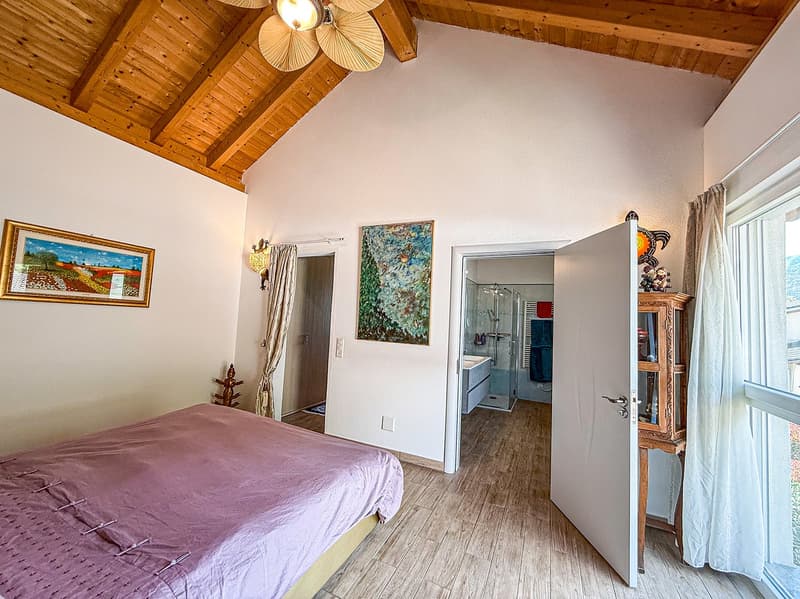 Grande 5.5 locali con giardino (21)