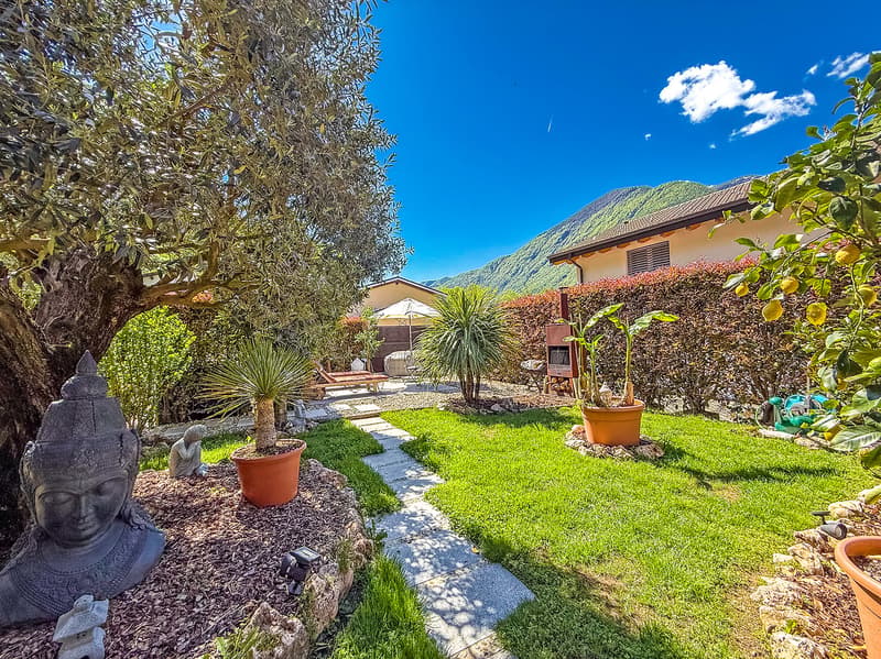 A green garden with a Buddha statue, pathway, olive tree, various potted plants, a lounge chair, a house with a shed in the distance.
