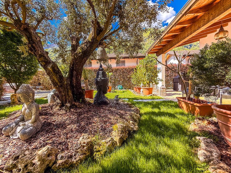 Grande 5.5 locali con giardino (29)