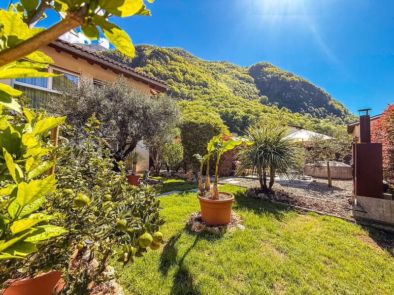 Grande 5.5 locali con giardino (8)