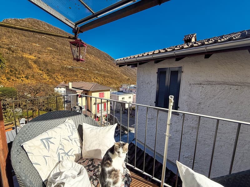 Cozy balcony with wicker furniture, pillows, and a cat enjoying the view of the surrounding buildings and mountains.