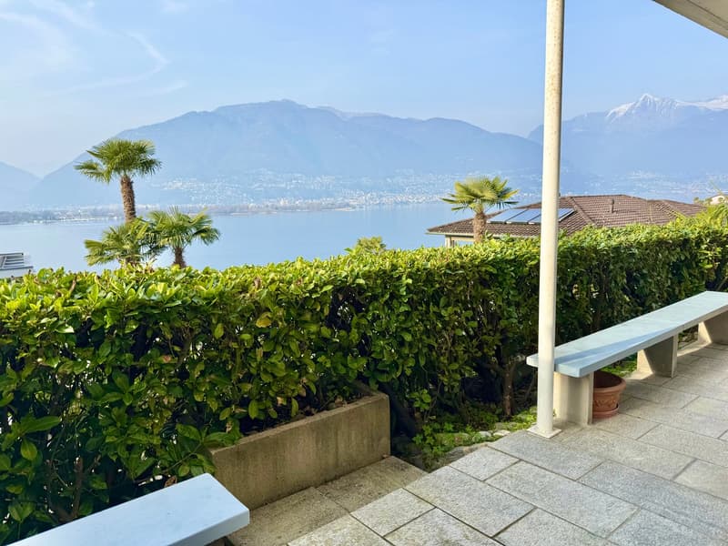 Outdoor area with benches, hedges, palm trees, lake view, mountains in the background