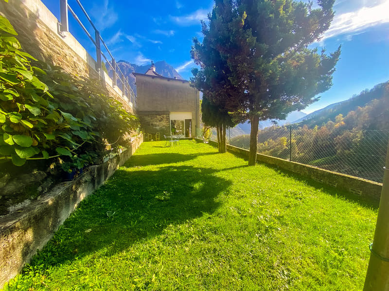 green lawn, stone wall, plants, trees, mountains in the background