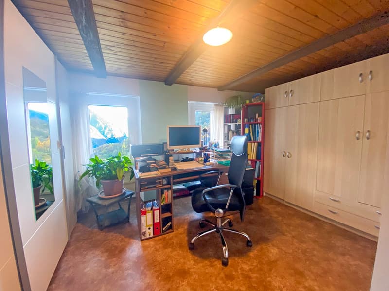 Office room with desk, computer, chair, bookshelf, plants, and cabinets