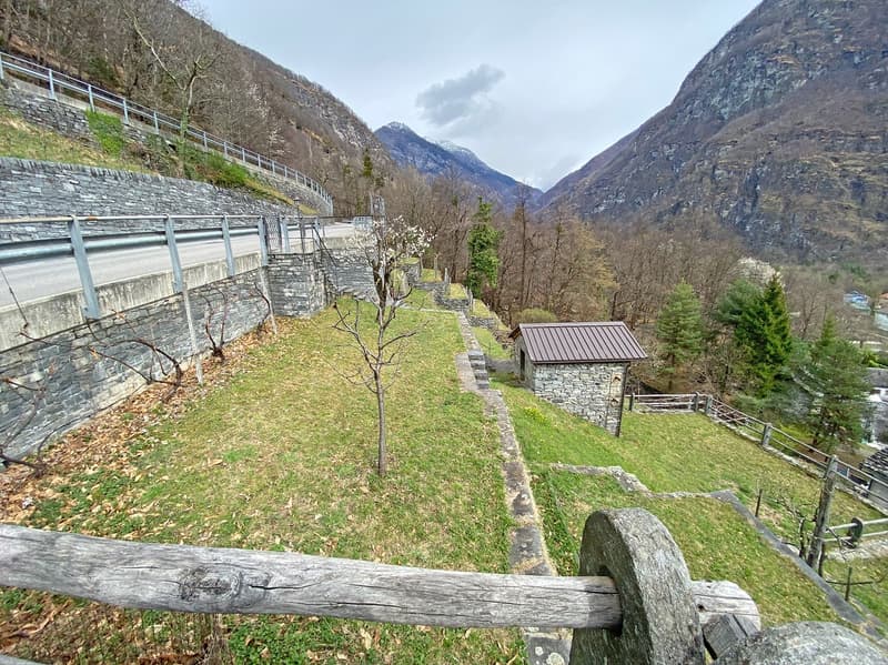 grassy area with a small stone house, stone wall, metal railings, trees, mountains in the background