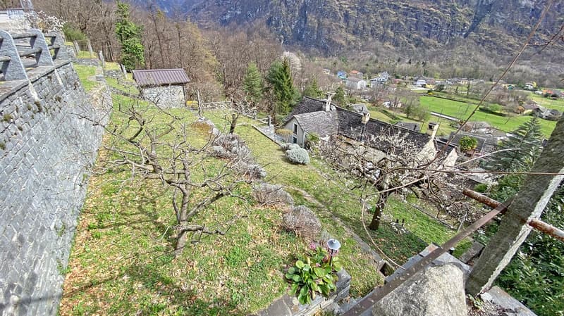 hillside garden with stone wall, small trees, plants, and a distant view of houses and mountains