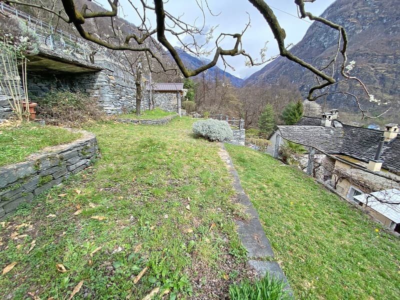 grassy area with stone walls, pathway, small plants, distant houses, mountains