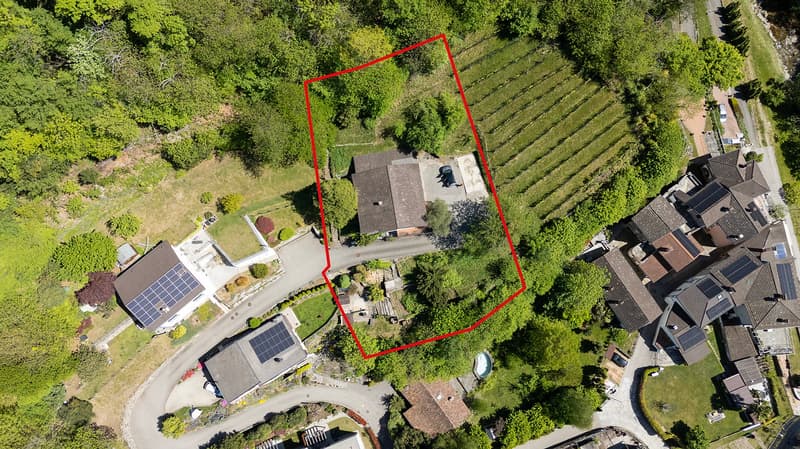 Terreno edificabile con casa in posizione collinare (2)