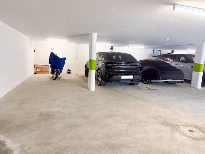 3,5 Zimmerwohnung mit garten und Panoramablick (29)