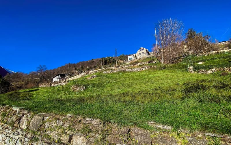 Terreno con progetto a Mergoscia (5)