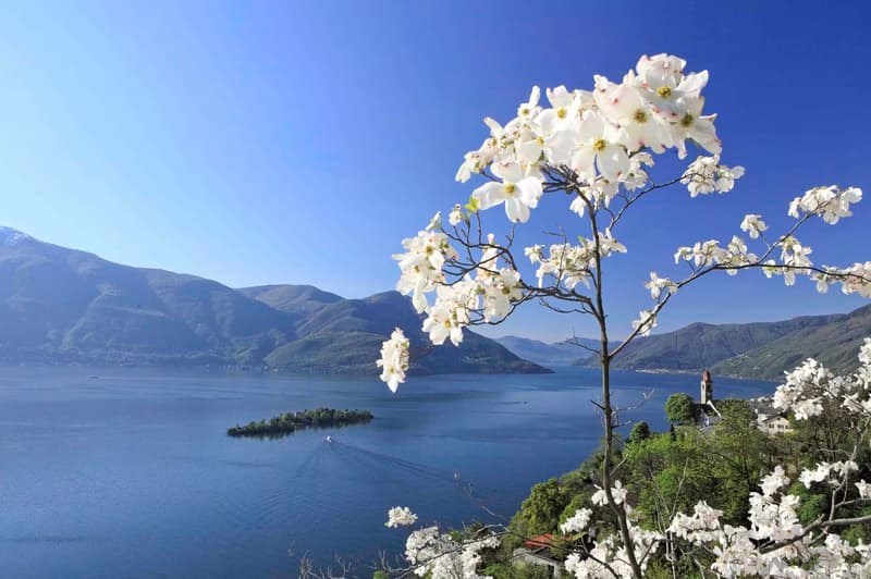 Elegante appartamento di 3.5 locali con vista panoramica a Brissago (20)