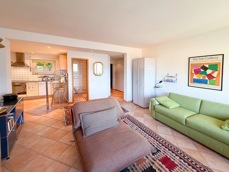 Charmante 1.5-Zimmer-Wohnung mit Panoramablick in Orselina (4)