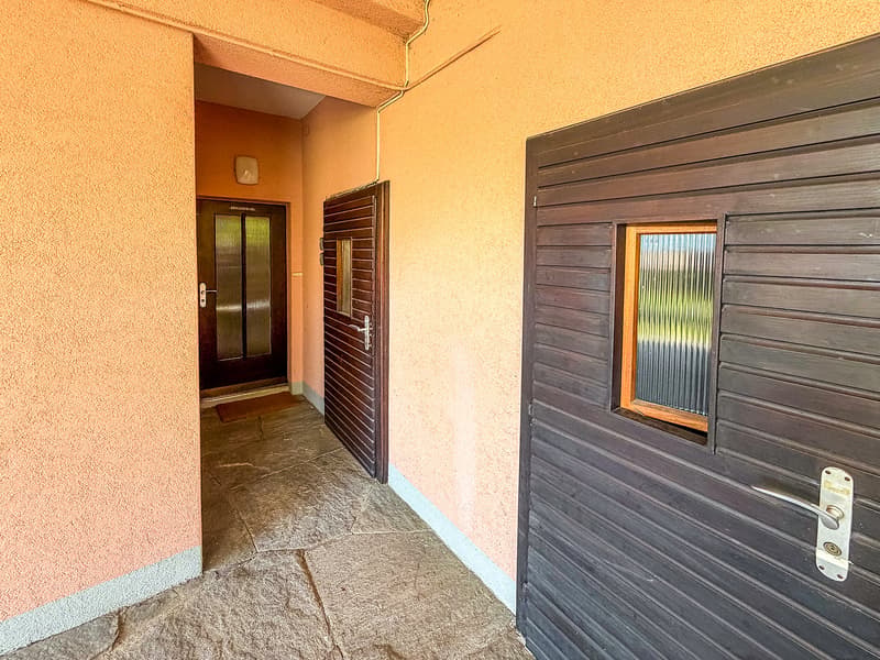 Charmante 1.5-Zimmer-Wohnung mit Panoramablick in Orselina (21)