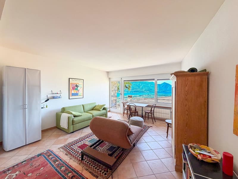 Charmante 1.5-Zimmer-Wohnung mit Panoramablick in Orselina (3)