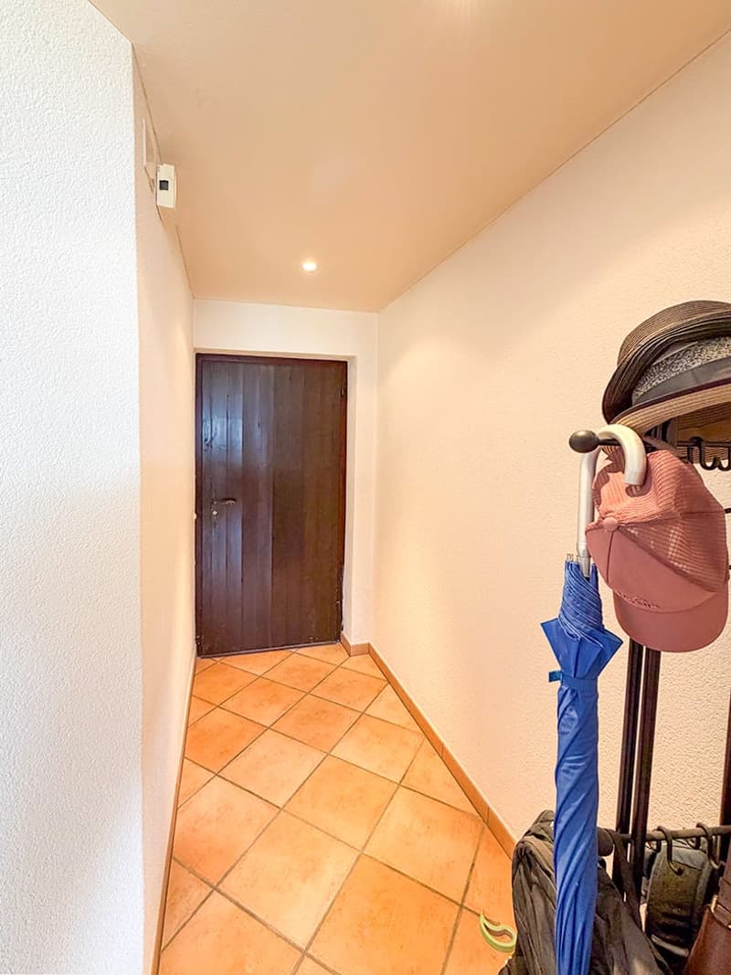 Charmante 1.5-Zimmer-Wohnung mit Panoramablick in Orselina (8)