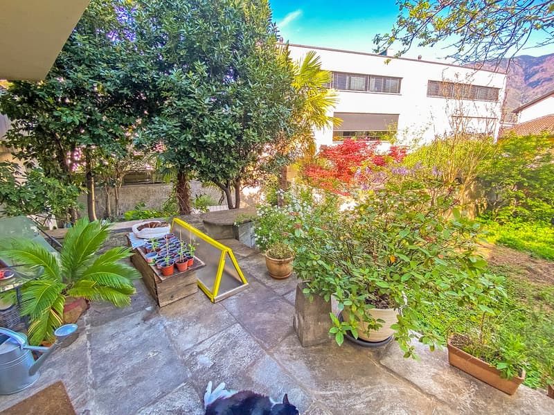 giardino