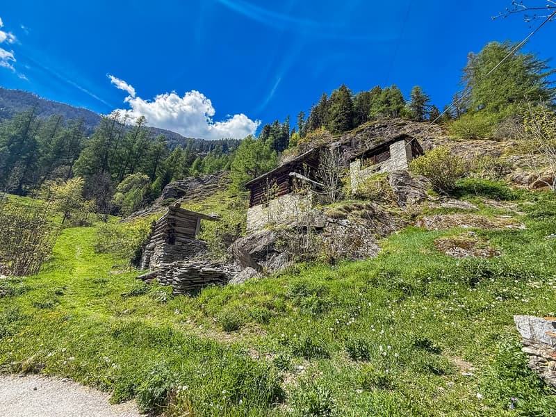 Lavizzara-Tal Rustico/Stallgebäude zur Renovation (3)