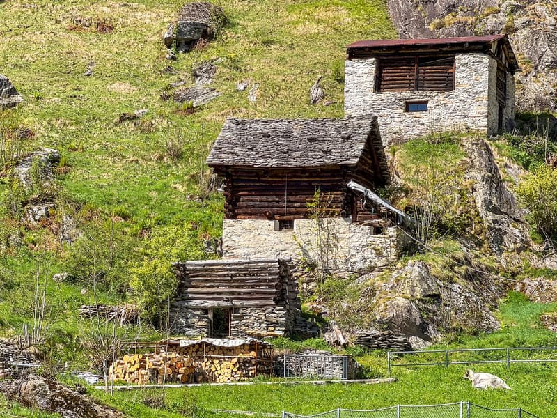 Lavizzara-Tal Rustico/Stallgebäude zur Renovation (2)