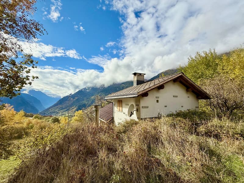 Alpine Berghütte auf 900 m mit Privatzugang und 21.000 m² Land (4)