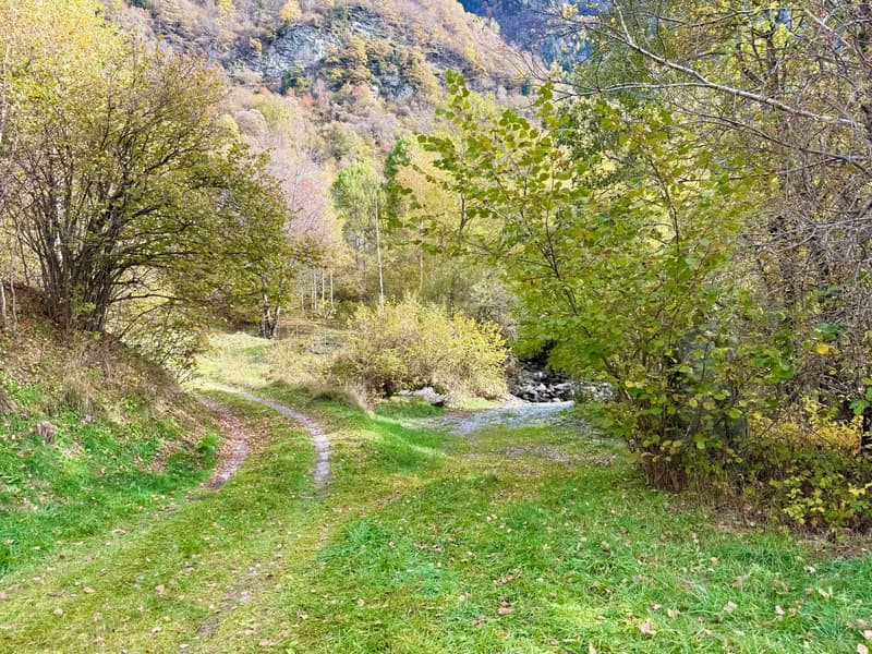 Alpine Berghütte auf 900 m mit Privatzugang und 21.000 m² Land (2)
