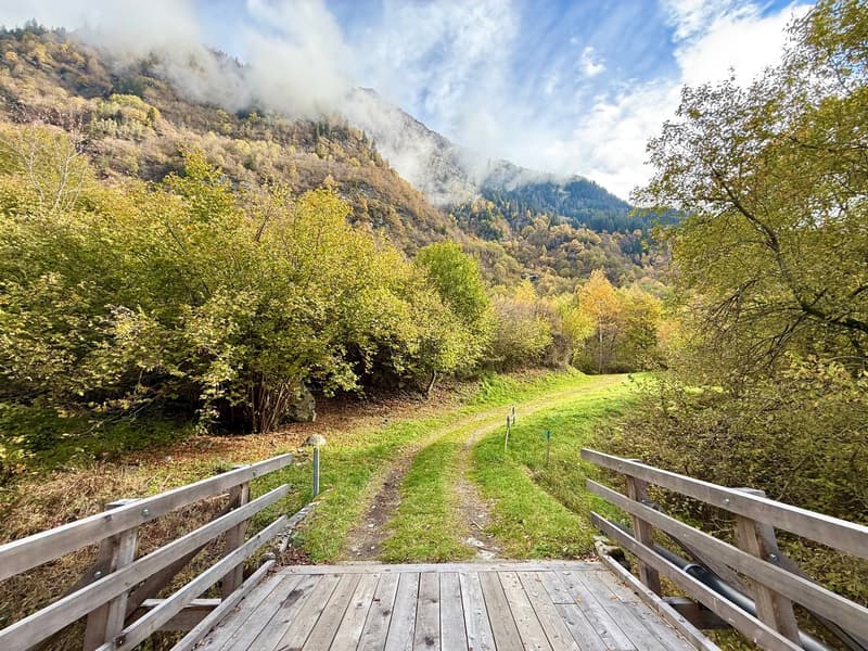 Alpine Berghütte auf 900 m mit Privatzugang und 21.000 m² Land (1)