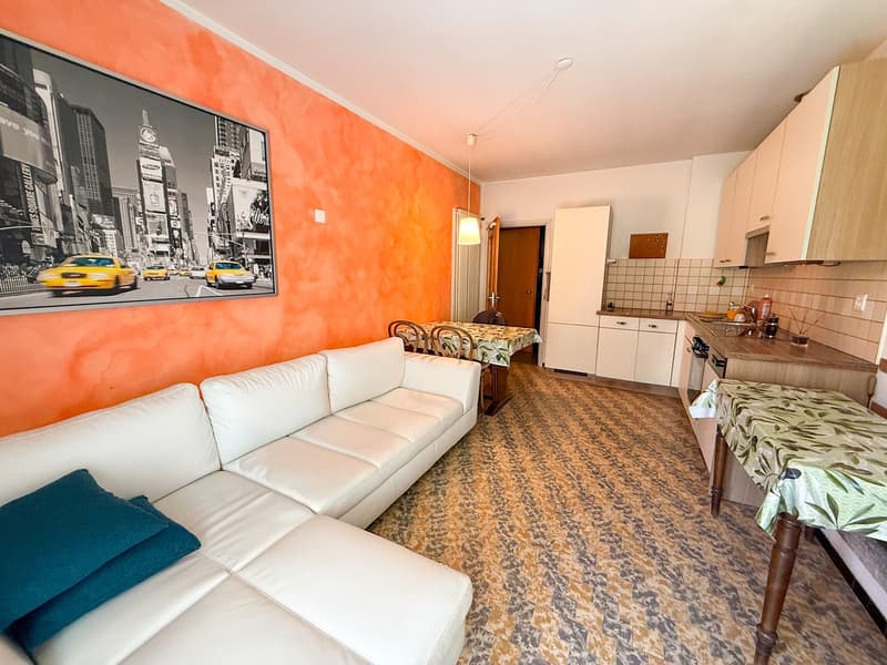 Grande Casa Bifamiliare di 9 locali da rinnovare, con terreno edificabile (21)