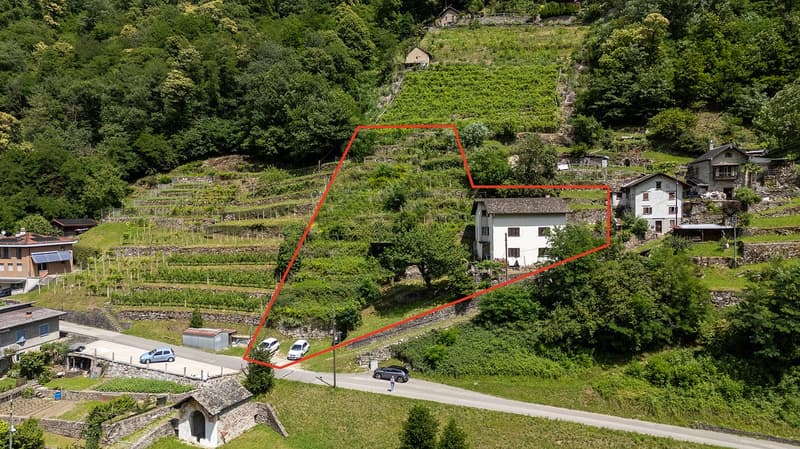 Grande Casa Bifamiliare di 9 locali da rinnovare, con terreno edificabile (2)