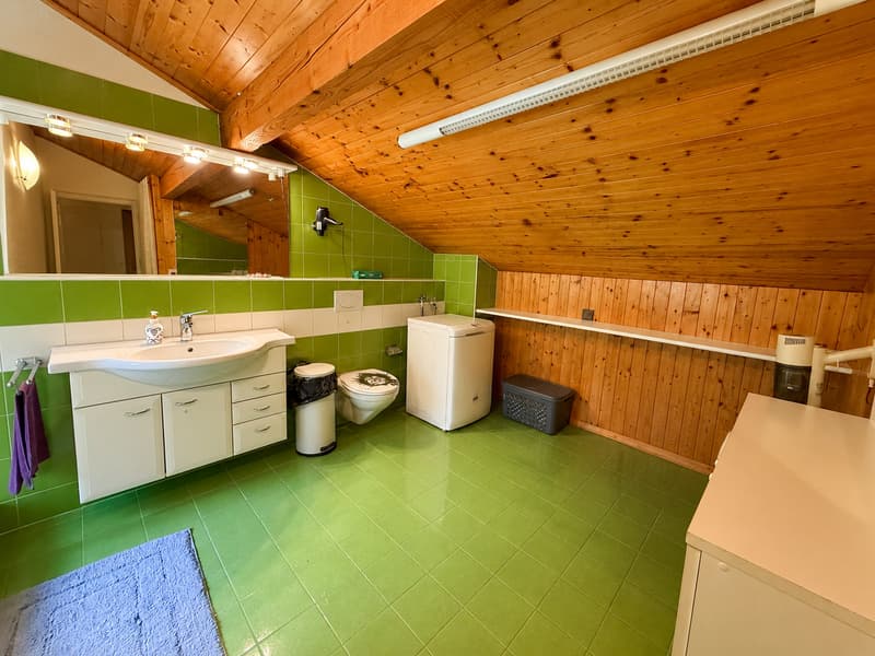 Grande Casa Bifamiliare di 9 locali da rinnovare, con terreno edificabile (25)