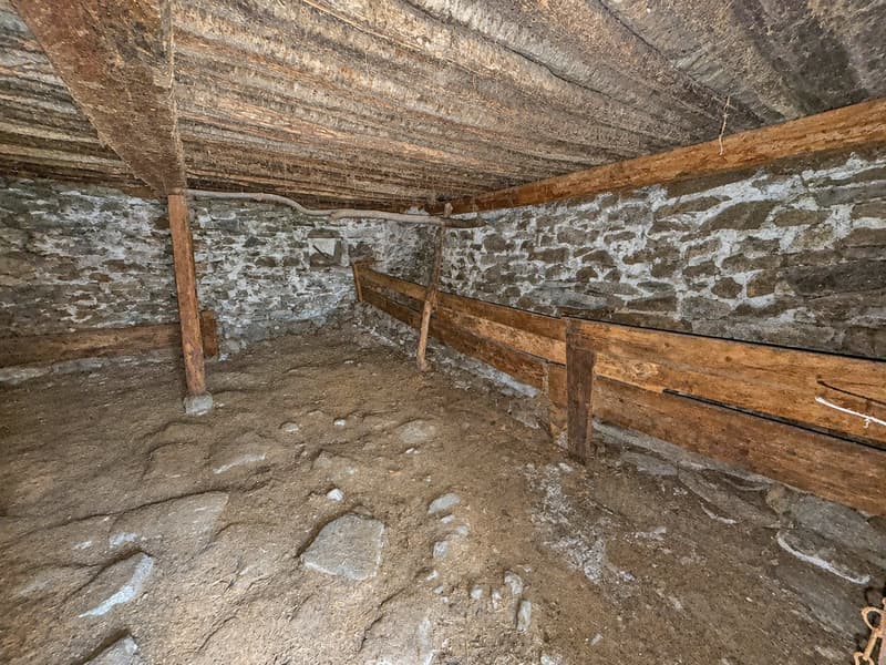 Rustico da ristrutturare con terreno (2)