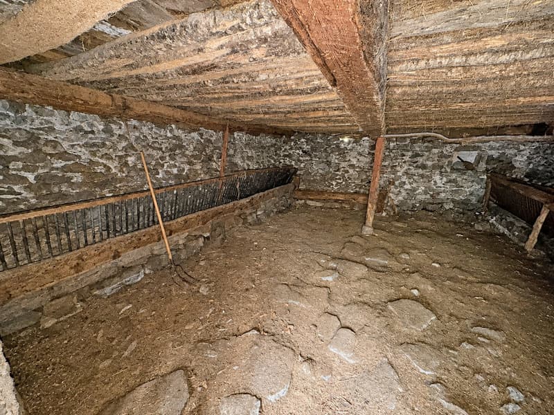 Rustico zum Renovieren mit bauland (3)