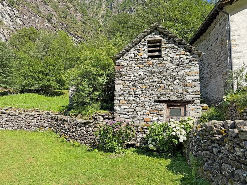 2 Rustici da ristrutturare con terreno (2)