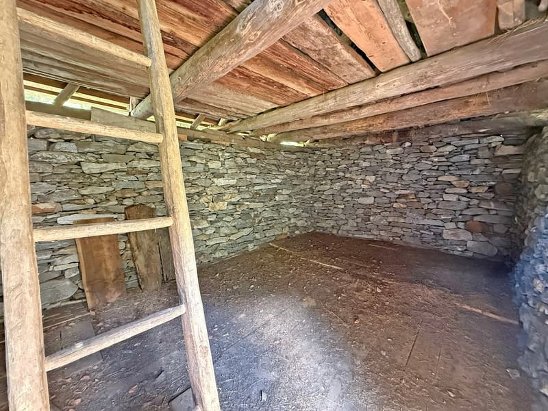 2 Rustici da ristrutturare con terreno (6)