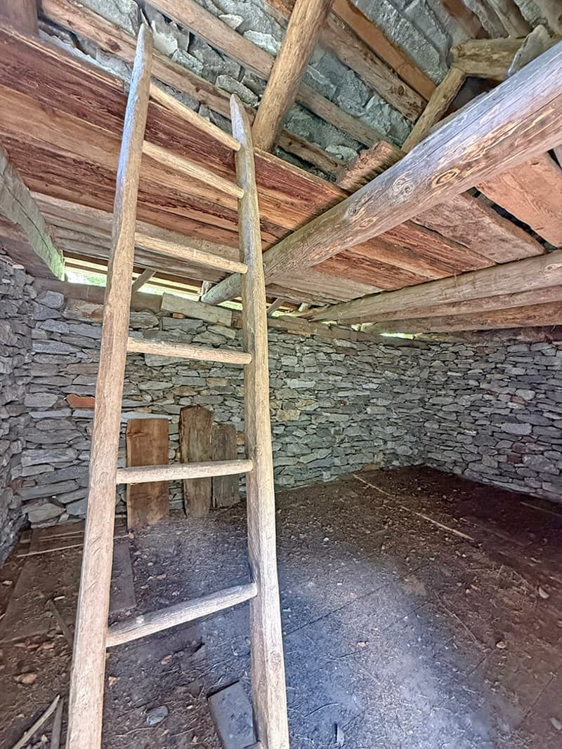 2 Rustici da ristrutturare con terreno (8)
