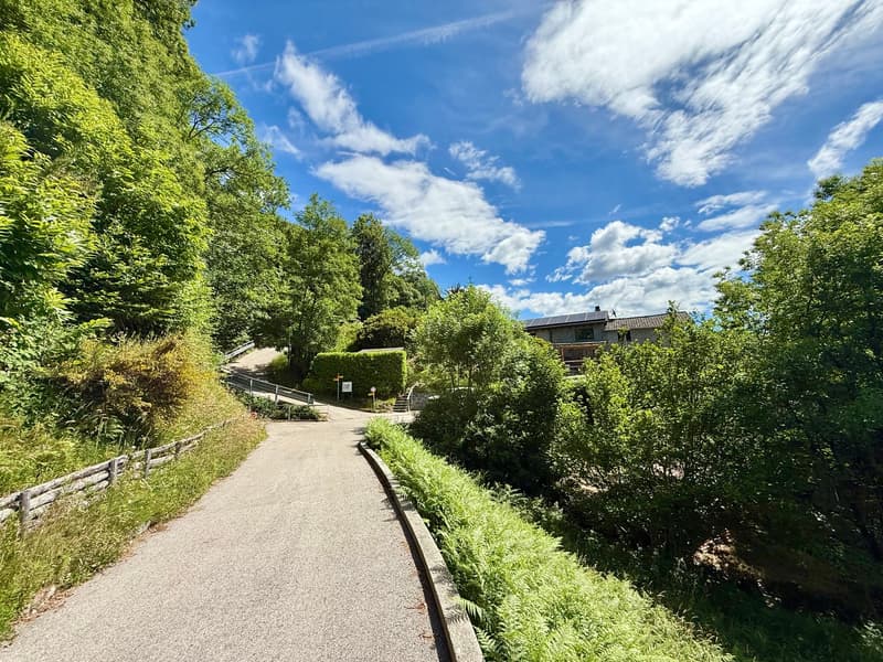 Rustico in pietra da riattare / Naturstein-Rustico mit Ausbaupotenzial (8)