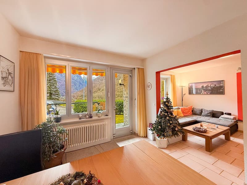 living room with a glass door and window, balcony with a view, Christmas tree, sofa, wooden coffee table, potted plants, picture frames, radiator