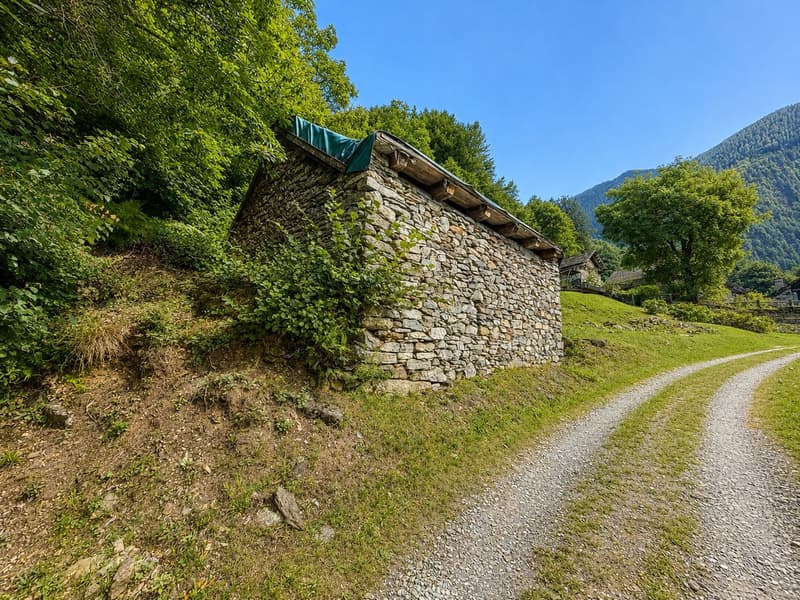 Stein-Rustico in Bignasco, Maggiatal, Authentischer alpiner Charme (11)