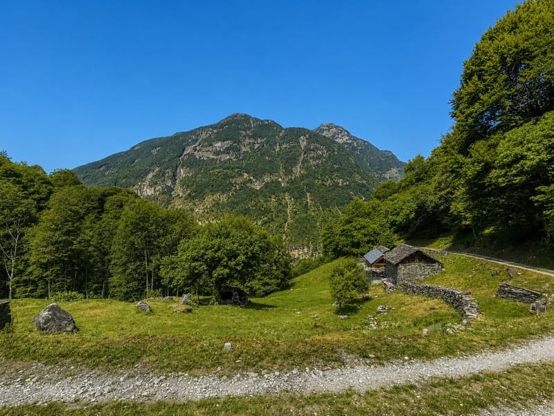 Stein-Rustico in Bignasco, Maggiatal, Authentischer alpiner Charme (13)