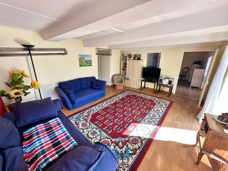 Wohnung im Onsernonetal (5)