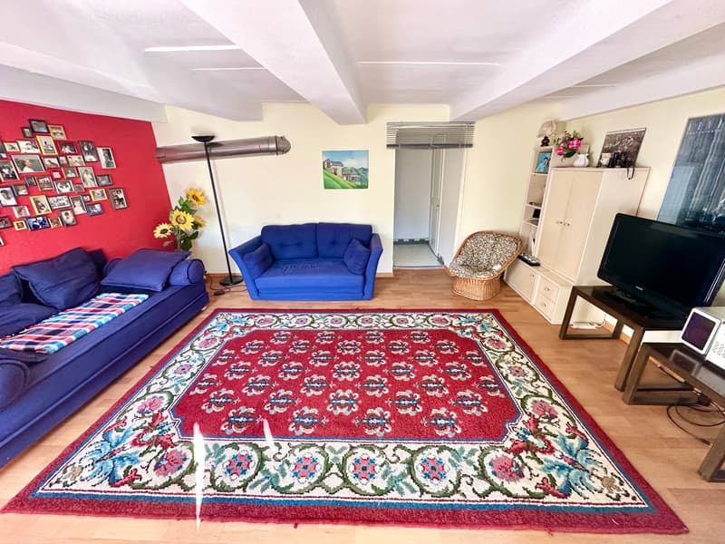 Wohnung im Onsernonetal (4)