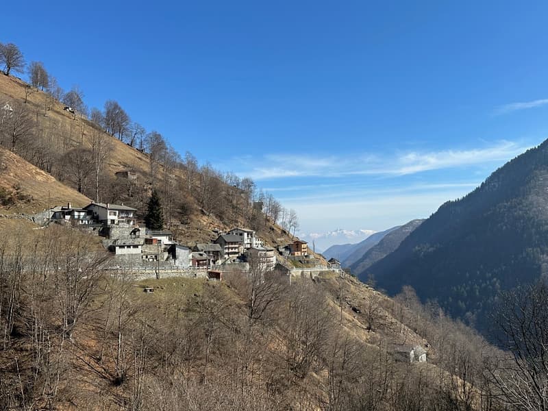 Wohnung im Onsernonetal (23)