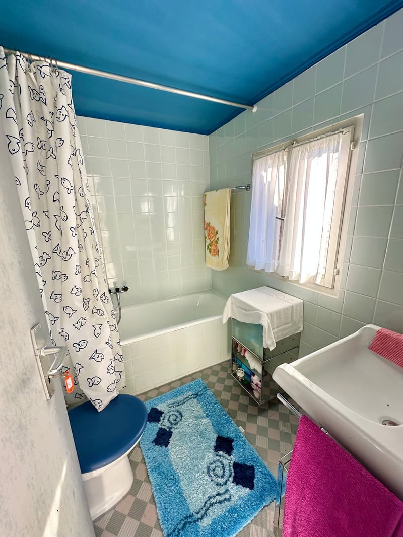 Wohnung im Onsernonetal (11)