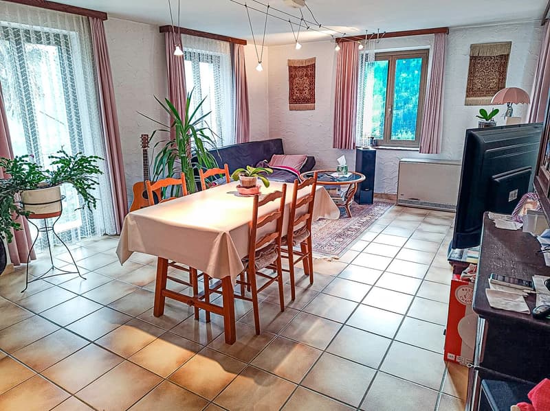 Dining room with a table and chairs, a couch, a television, a lamp, and potted plants