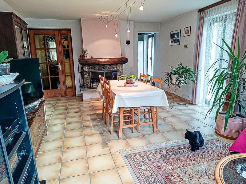 dining room with fireplace, dining table, chairs, rug, plants, TV, cabinet, black cat