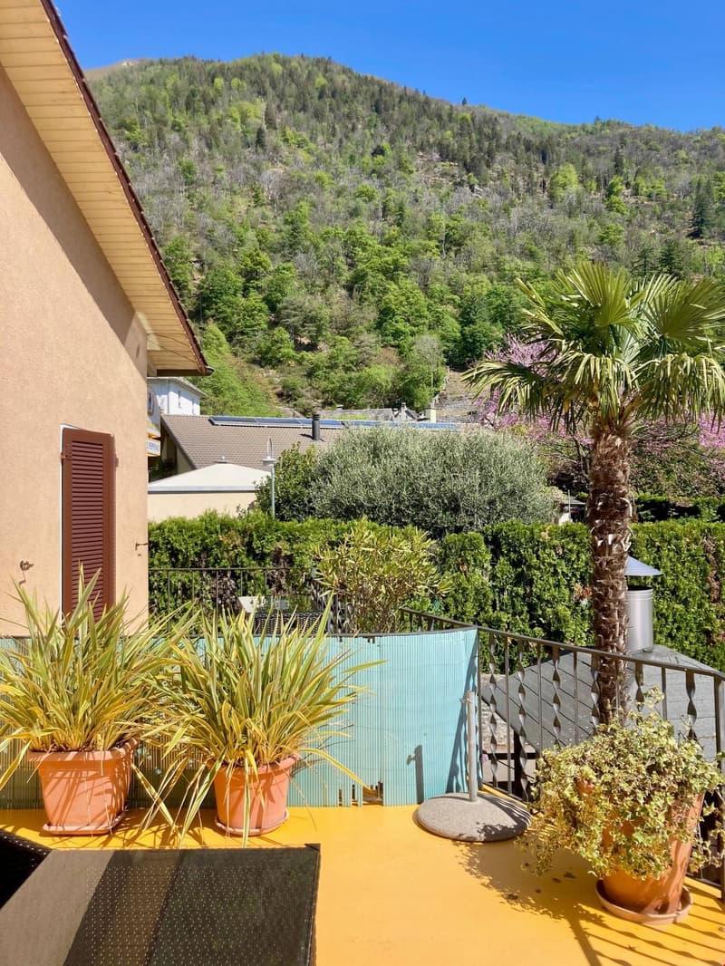 Balcony or terrace with a view of a lush, forested mountain landscape. The balcony has potted plants, a palm tree, and outdoor furniture. There is also a swimming pool visible in the background.