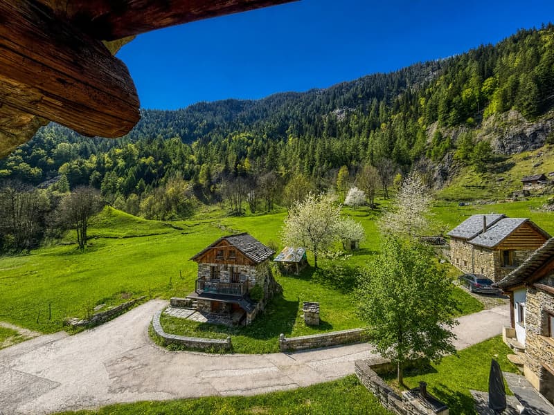 Zweitwonhsitz! Typisches Tessiner Haus mit Rustico zu renovierendes (6)